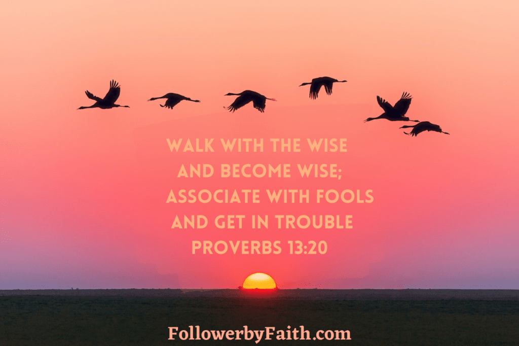 Proverbs 13:20 Daily Bible Verse