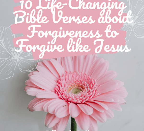 Pink Flower Bible Verses About Forgiveness