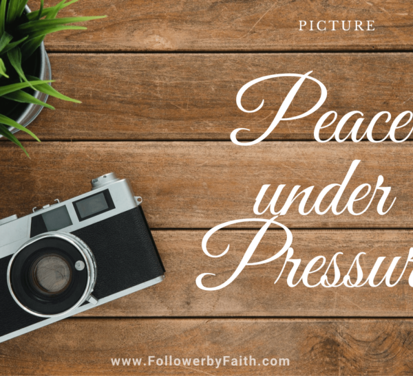 Peace under Pressure Camera Photo