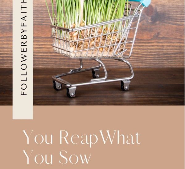 You Reap What You Sow Devotional with Bible Verses